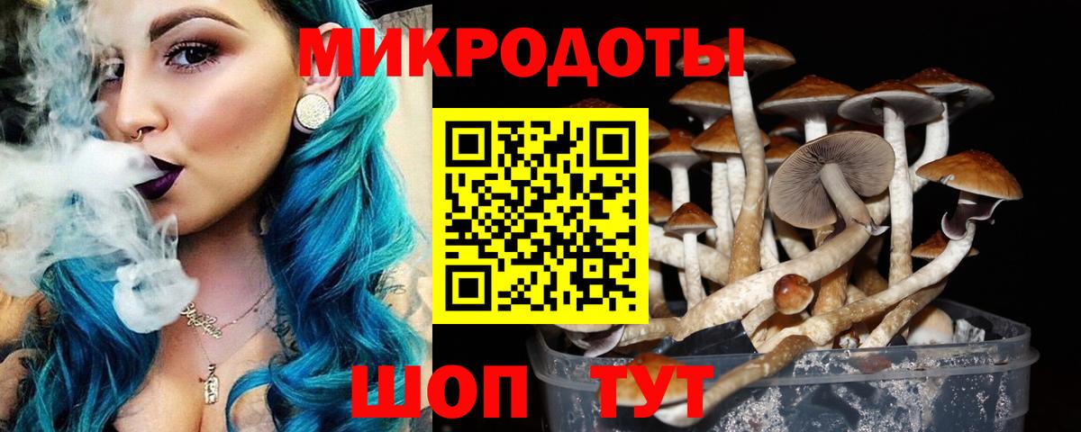 Галлюциногенные грибы Magic Shrooms Печора